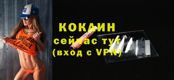 стаф Арсеньев