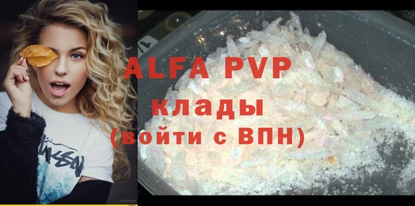 стаф Арсеньев
